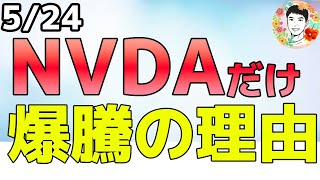 指数は下げるも心配なし！NVDAの1人勝ち！【524 米国株ニュース】 [upl. by Mumford]