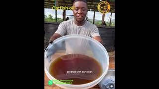 Pure CatFish Oil  Catfish Boom [upl. by Hamilah]