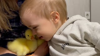 Baby Gives the Cutest Hug to a DuckyCutest Moment Ever [upl. by Nylanna]