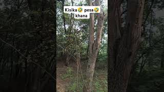 🤣kisika pesa 🤣mad khana 🤣jadi khalia to 🤣agili janam kuta 🤣hoga ap 🤣🌹 [upl. by Jemina542]