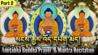 ☸Amitabha Buddha Prayer And Mantra RecitationPart 2སངས་རྒྱས་འོད་དཔག་མེདSadhana Prayer Practice [upl. by Etnaik]