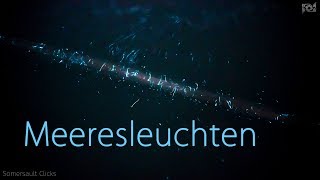 Meeresleuchten Deutschland  Video mit Tipps zum Finden Biolumineszenz [upl. by Nonnaehr]