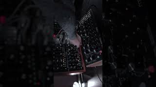 Moog DFAM techno thump moogsynthesizer moogmodular technomusic eurorack synth synthesizer jam [upl. by Kacerek]