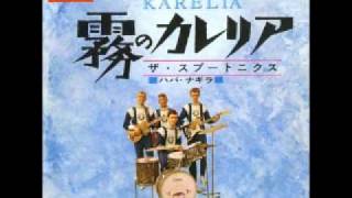 The Spotnicks  Karelia 1966 [upl. by Egres]