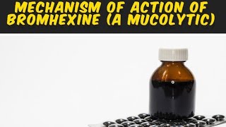 Mechanism of action of Bromhexine [upl. by Adnyc]