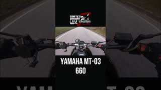 Cortes Rodolfinho da Z YAMAHA MT 03 660 [upl. by Calvina60]