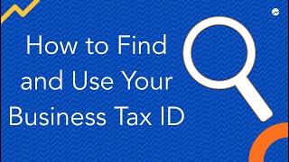 How to Find and Use Your Business Tax ID [upl. by Neirol]