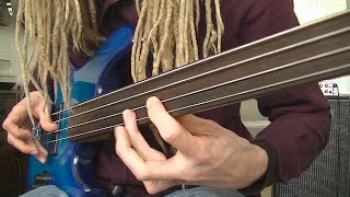 Fretless Funk Rock Bass Grooves [upl. by Cordle738]