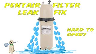 POOL FILTER LEAKING OR HARD to OPEN or CLOSE Pentair Clean and Clear CC50 CC100 CC150 CC200 [upl. by Taryne]