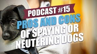 TOP 15 Pros and Cons of Spaying or Neutering Dogs [upl. by Assillem]