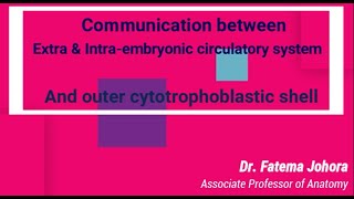 Communication II Intra amp extra embryonic circulatory system II Outer cytotrophoblastic shell Bonus [upl. by Alatea755]