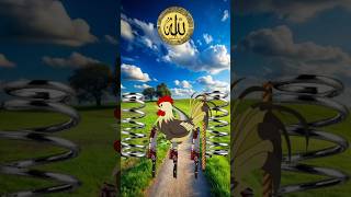 Sabko Eid Mubarak 🕋 Islamic vfxpalestine islamicstatus shortclips trending muslim vfx [upl. by Leirrad]