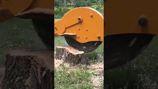 Stump Grinding Made Simple [upl. by Gettings]