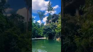 Liburan di Ekowisata Tangkahan travel tangkahan nature [upl. by Anirbys]