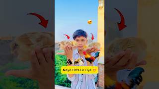 murgi ke bacche le le liye 😍 minivlog vlogs [upl. by Nathanael213]