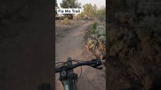 Ultimate Flow Trail Ride on a Hardtail MTB mtb haro hardtail flow fun music dji shorts [upl. by Eicrad6]