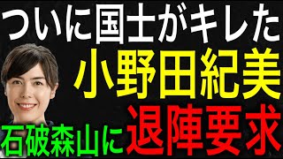 【臨時】小野田紀美が石破総理と森山幹事長に退陣要求！青山繁晴と高市早苗が認める最後の国士がついに動き出す！【JAPAN 凄い日本と世界のニュース】 [upl. by Goraud]