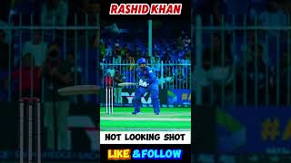 Not looking shot Rashid Khan😨😱 cricket shortsfeed cricketlover ytshorts short yt shorts [upl. by Valene691]