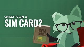 Whats on a SIM Card  Mint Mobile [upl. by Ioyal]