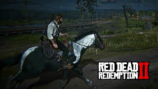 DAngelo quotUnshakenquot  Red Dead Redemption 2 [upl. by Abehs]