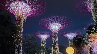 Supertrees Grove Gardens by the Bay Singapore [upl. by Aeslek55]