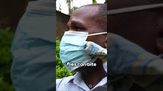 Surviving Tsetse Fly Bite quot The Sleeping Sicknessquot survival [upl. by Brag]