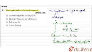 What is called Warburgs effect on photosynthesis [upl. by Paugh]