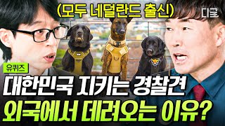 유퀴즈온더블럭 1등 혈통 물려받은 엘리트 경찰견들🐶 우수한 DNA로 범죄로부터 우리를 지켜주다😎 [upl. by Esikram312]