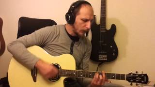 Hero of War  Rise Against Acoustic Cover by Vedran [upl. by Leonidas726]