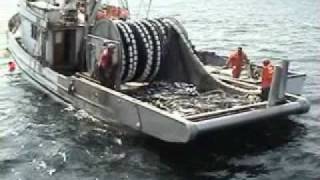 August 2010 Sockeye Patrolwmv [upl. by Eissirc]