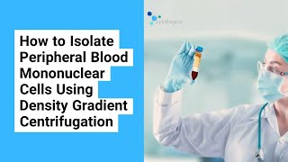 How to Isolate PBMCs Using Density Gradient Centrifugation [upl. by Ligriv623]