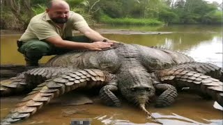 Strange Creatures that Live in the Amazon River [upl. by Aztinaj]