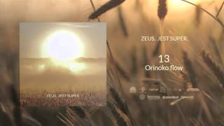 13 Zeus  Orinoko flow feat Justyna Kuśmierczyk [upl. by Farrica]