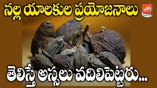 Health Benefits Of Nalla Yalukalu  Black Cardamom Benefits  GOOD HEALTH  YOYO TV Health [upl. by Ylimme]