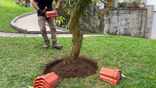 JARDIM RECICLADO Transforme o Lixo em Beleza 2 [upl. by Harty]