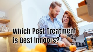 Which Pest Control Treatment is Best for My Home Interior [upl. by Averir]