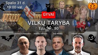 Vilkų taryba 80  rinkimai Lietuvoje Gruzijoje ir JAV [upl. by Zebulon]