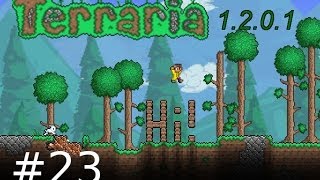 Terraria 23  Go to Sleep  Lets Play Terraria Half Blind Ger HD [upl. by Ellehcar178]