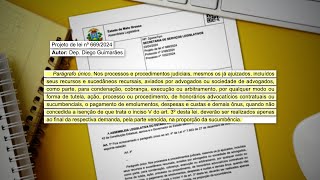 Projeto prevê o pagamento das custas e despesas processuais apenas no fim da demanda judicial [upl. by Akcimehs848]