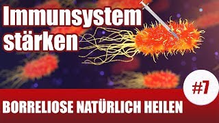 BorrelioseTherapie  Diese Pflanzen stärken dein Immunsystem Borreliose Behandlung natürlich 7 [upl. by Monah]