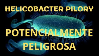 ¿COMO saber si TENGO HELICOBACTER PYLORI SINTOMAS COMPLICACIONES DIAGNOSTICO y TRATAMIENTO [upl. by Ranice]