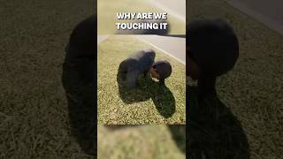 Rating Touch Grass Together gaming funny [upl. by Thurmann]