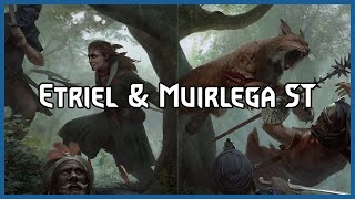 Etriel Muirlega in ST Devotion Schirru  Gwent Pro Rank Gameplay [upl. by Roselani]