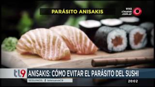 Anisakis Cómo evitar el parásito del sushi [upl. by Hukill593]