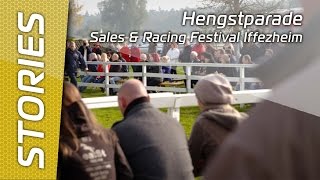 Hengstparade in Iffezheim [upl. by Gilcrest]