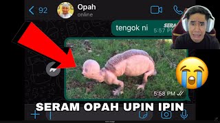 SERAM OPAH DAN UPIN IPIN 😱 HAIWAN PELIK MAKAN DAGING 😭 [upl. by Aicena199]