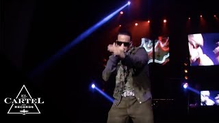 Daddy Yankee  Vivo en Inglaterra Live [upl. by Akcinat]