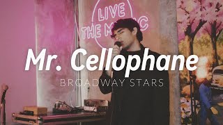 Mr Cellophane  Chicago  Broadway Stars [upl. by Lainahtan]