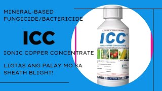 ICC FungicideBactericide Ionic Copper Concentrate [upl. by Hekking]