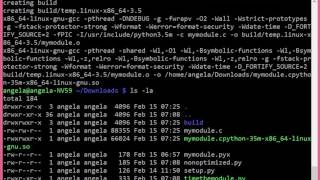 Cython vs Pure Python [upl. by Yllim]